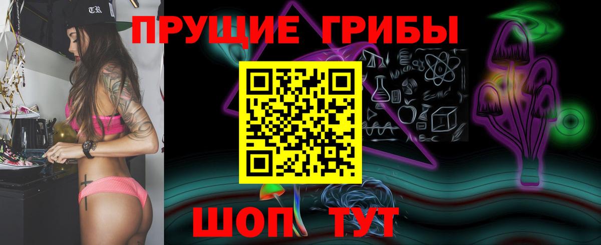 Псилоцибиновые грибы GOLDEN TEACHER  Вход с VPN  Псилоцибиновые грибы GOLDEN TEACHER  Прокопьевск 